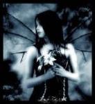 L'antre des arts oubli�s