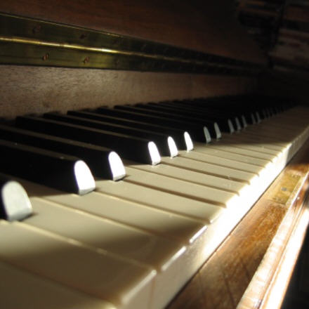 Des noires et des blanches...