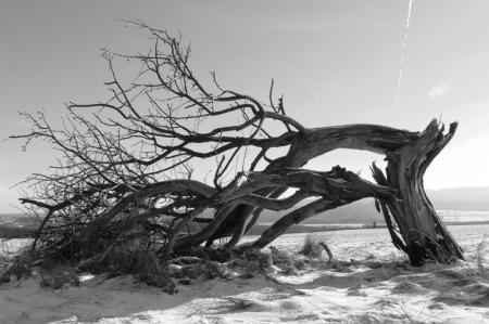 ...je m'en vais dormir pour l'�ternit�...